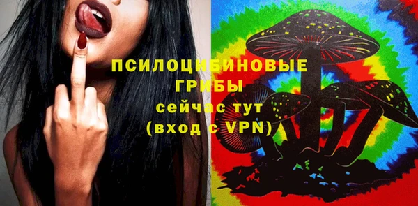 бошки Белокуриха